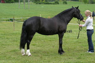 burhultsblackseren_185_8545.jpg