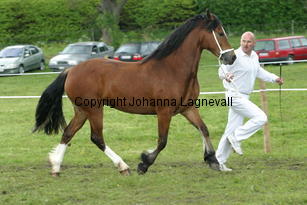 kildegaardscirkeline_187_8797.jpg