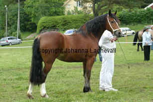 kildegaardscirkeline_188_8827.jpg