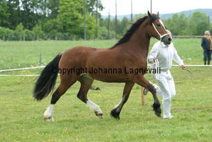kildegaardscirkleine_187_8795.jpg