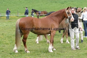 menaimagicspleasure_185_8541.jpg