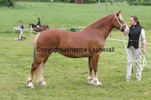 menaimagicspleasure_185_8543.jpg
