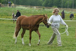 bogaloss_186_8696.jpg