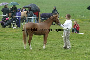bogaloss_187_8705.jpg
