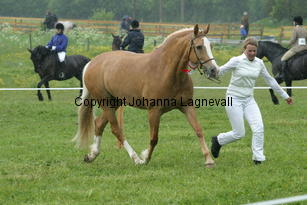 burhultsfoxtrott_187_8709.jpg