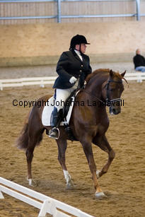 lyckangecoppercoin_8822-2.jpg