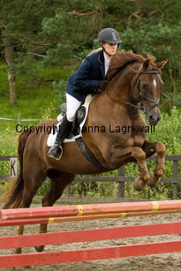 hagasuncletom_hoppclinic_8949.jpg
