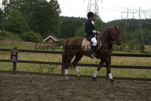 lyckangecoppercoin_8920.jpg