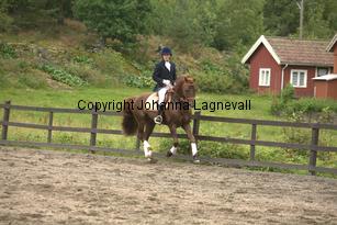lyckangecoppercoin_8930.jpg