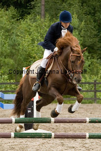 lyckangecoppercoin-hopp_8985.jpg