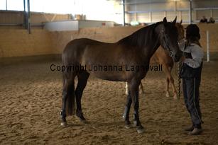 esztalay_9253.jpg