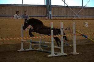 goldgetkitty_9141.jpg