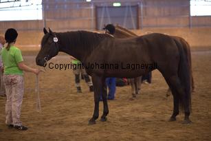 hagasalicewilder_9049.jpg