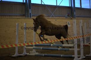 hagascarolineingalls_9031.jpg