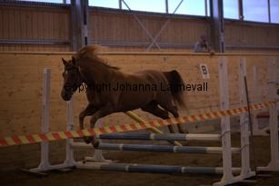 hagascarolineingalls_9034.jpg
