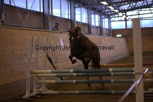 hagascarolineingalls_9039.jpg