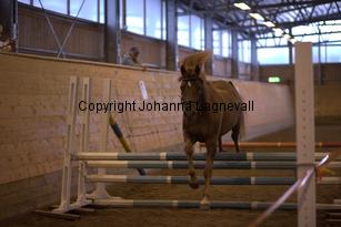 hagascarolineingalls_9040.jpg