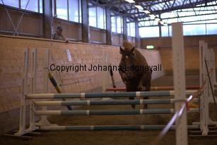 hagascarolineingalls_9043.jpg