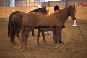 hagascarolineingalls_9052.jpg