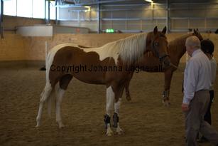 hedensskyspirit_9123.jpg