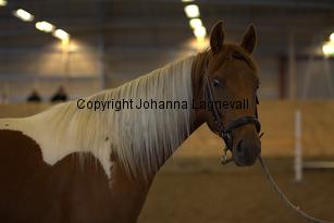 hedensskyspirit_9126.jpg