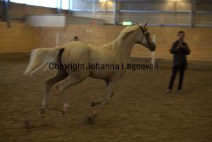 justinisabella_9263.jpg