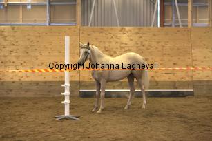 justinisabella_9271.jpg