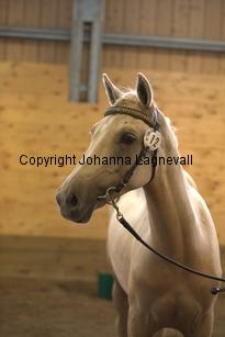 justinisabella_9280.jpg