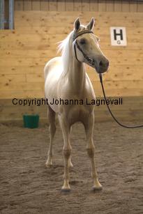 justinisabella_9281.jpg