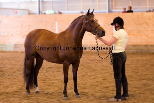 nasuddensheartbreaker_9086-2.jpg