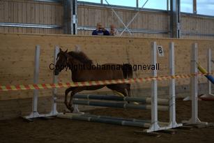 nasuddensjollyheart_9206.jpg