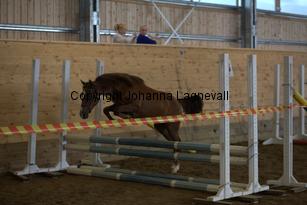nasuddensjollyheart_9213.jpg