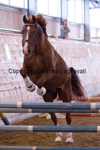 tronshagensguinnes_9093-2.jpg
