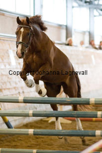 tronshagensguinnes_9094-2.jpg