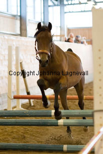 valleyridgehilitesimage_9295-2.jpg