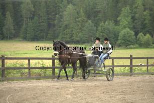 hagasalicewilder_9388.jpg