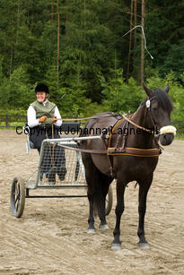 hagasalicewilder_9416-2.jpg