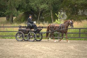 lyckangecoppercoin_9400.jpg
