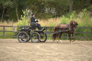 lyckangecoppercoin_9408.jpg