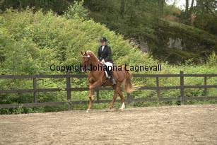 beltanepride_9442.jpg