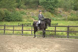 falkasartur_9457.jpg
