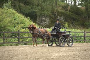 lyckangecoppercoin_9429.jpg