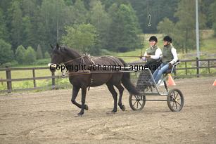 hagasalicewilder_9345.jpg