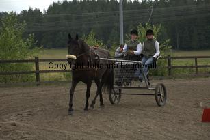 hagasalicewilder_9346.jpg