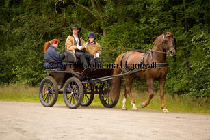 lyckangecoppercoin_9314-2.jpg