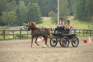 lyckangecoppercoin_9353.jpg