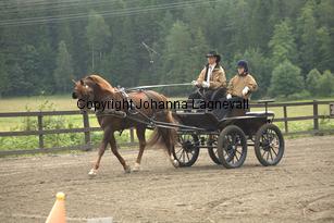 lyckangecoppercoin_9354.jpg