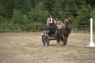 lyckangecoppercoin_9356.jpg