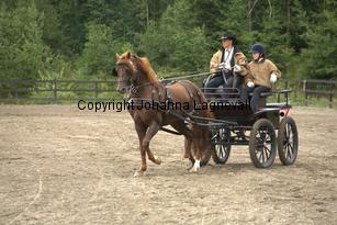 lyckangecoppercoin_9357.jpg