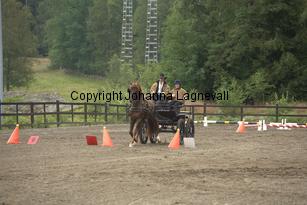lyckangecoppercoin_9358.jpg
